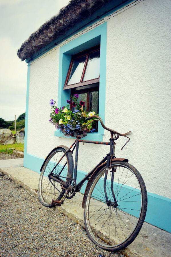 Biddys Cottage 쿨다프 외부 사진